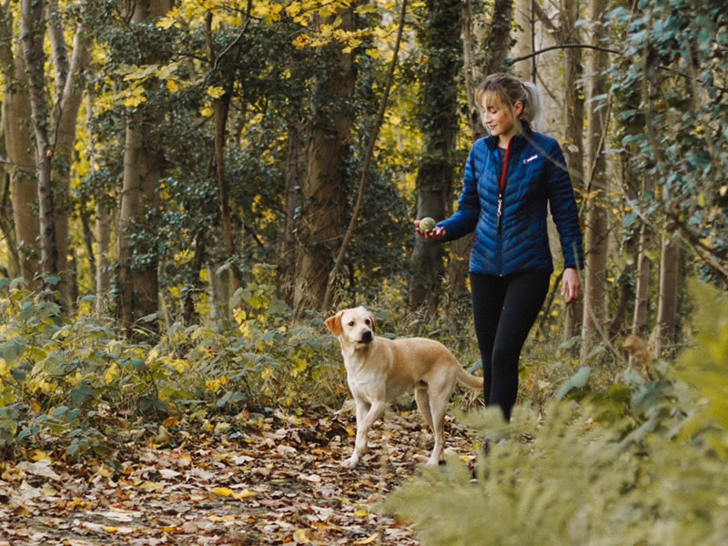 How to care for your pets if you're in isolation - Ivanhoe Veterinary Clinic How to care for your pets if you're in isolation - Ivanhoe Veterinary Clinic