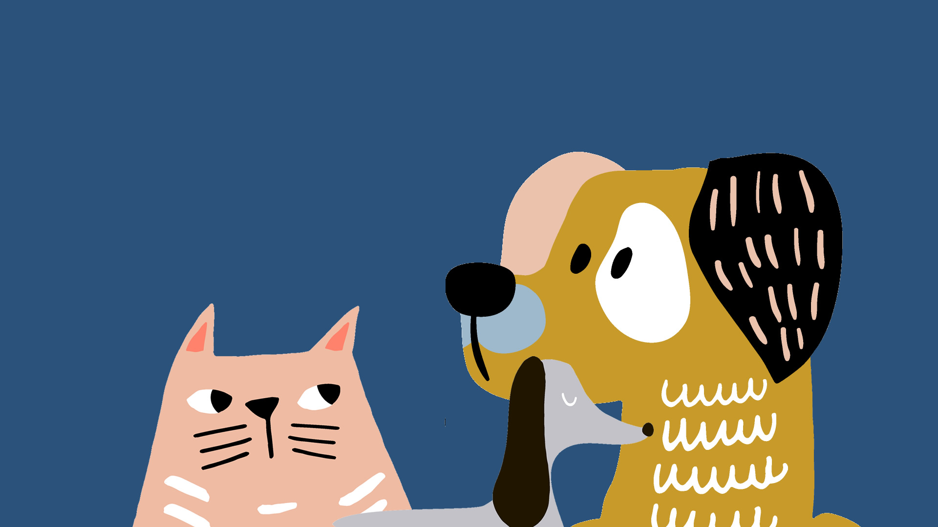 Ivanhoe Veterinary Clinic