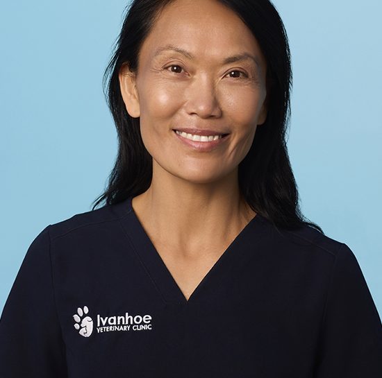 Dr Julian Sze