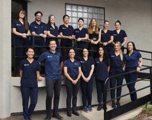 Ivanhoe Vet team